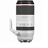 Объектив Canon RF 100-500mm f/4.5-7.1L IS USM CANO-223